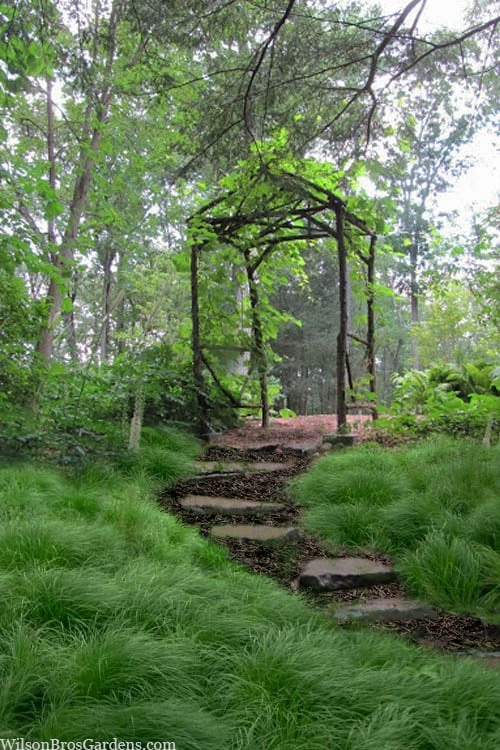 Pennsylvania Sedge (Carex Pennsylvanica) - 6 Pack 1 Gallon Pot 1 Pennsylvania Sedge (Carex Pennsylvanica) - 6 Pack 1 Gallon Pot