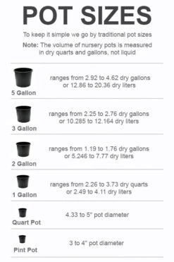 Cheap US Topiary Plant Store -Cheap US Topiary Plant Store pot size chart 2022 204